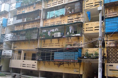 Tìm chuột chết, phát hiện... xác phân hủy 