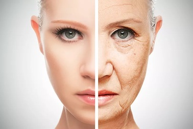 Chúng ta có thể làm chậm quá trình lão hóa không và đến mức độ nào?