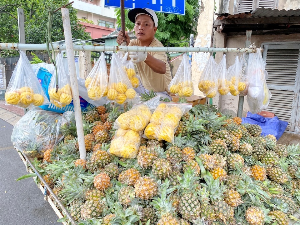 Thơm “tí hon, bé như quả trứng, ngày bán cả trăm cân - 1 Thơm “tí hon, bé như quả trứng, ngày bán cả trăm cân - 1
