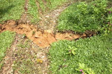 Quảng Nam: Di dời khẩn cấp hơn 10 hộ dân sau khi xuất hiện vết nứt dài 50m