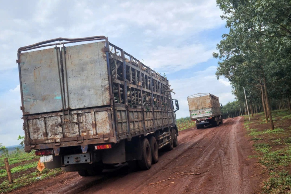 Trưởng thôn lên tiếng vụ thu 5 triệu đồng/xe tải vì đi lên đường bê tông - 2 Trưởng thôn lên tiếng vụ thu 5 triệu đồng/xe tải vì đi lên đường bê tông - 2