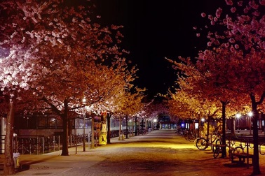 Câu chuyện học bổng Erasmus Mundus (kỳ 5): Một lần xe buýt đình công