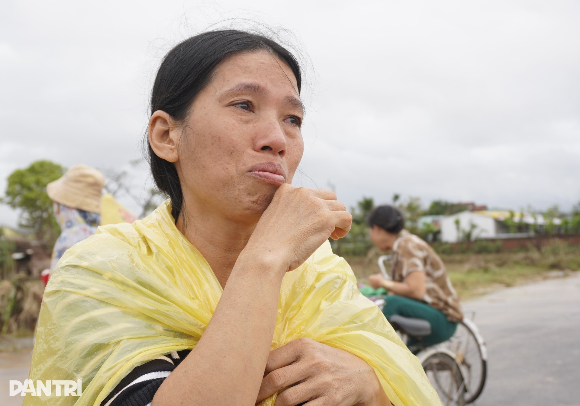 Người phụ nữ nghèo bật khóc vì 6 con bò bị lũ dữ cuốn trôi - 2