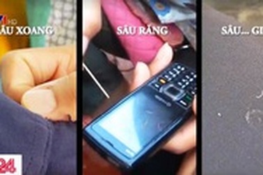 "Sâu xoang" thực chất từ… bụng gián đất