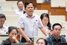 "Ngành than, ngành điện làm rất lỗ nhưng vẫn để độc quyền"