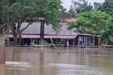 Nước sông Lam dâng cao, nhiều nơi ngập cục bộ