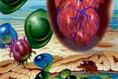 Tại sao người tiểu đường dễ bị biến chứng tim mạch?