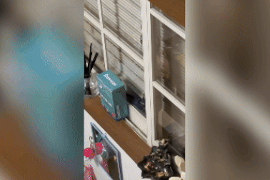 Nữ lao động Việt tại Nhật phải nghỉ việc, chuyển nhà vì biến thái theo chân