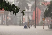 Mưa như trút, nước dâng cao cả mét, thành Vinh "thất thủ"