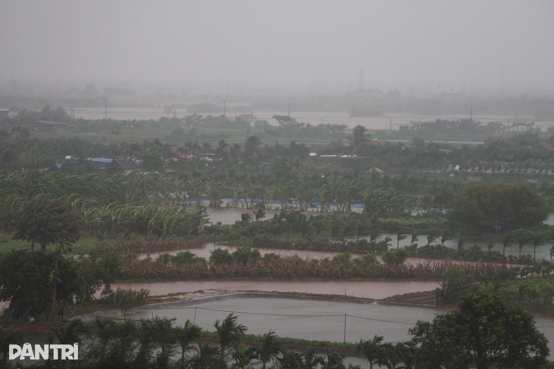 Ninh Bình chìm trong biển nước trước giờ bão Wipha đổ bộ - 2 Ninh Bình chìm trong biển nước trước giờ bão Wipha đổ bộ - 2