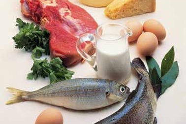 Chất đạm: Đủ chứ đừng dư!