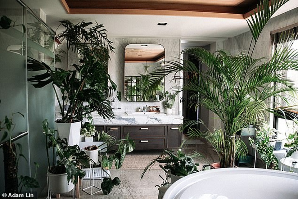 Không gian sống của người đàn ông sở hữu số cây trị giá hơn 1 tỷ đồng - 8 Không gian sống của người đàn ông sở hữu số cây trị giá hơn 1 tỷ đồng - 8