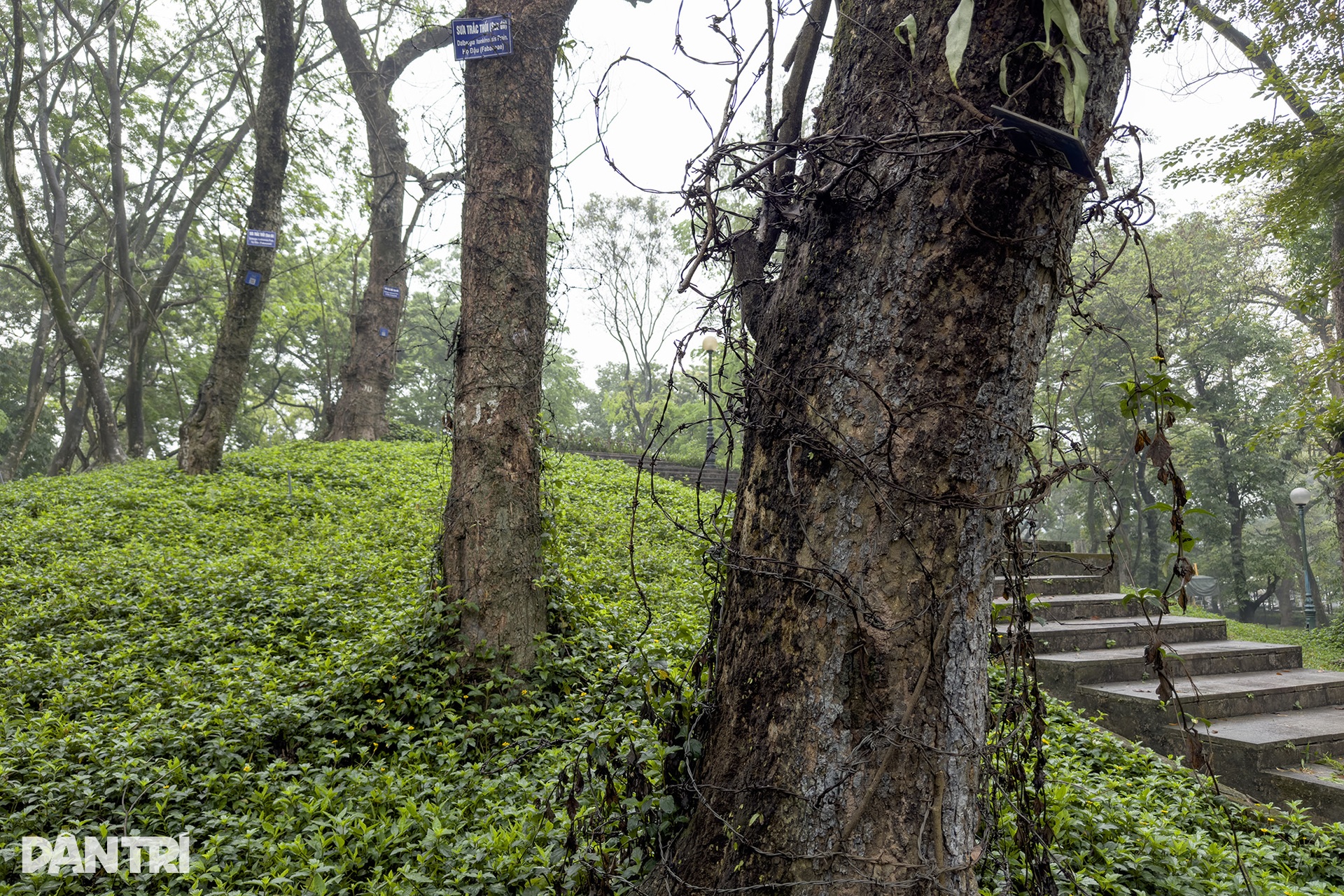 Các công viên lớn của Hà Nội xuống cấp, nhiều hạng mục cũ kĩ, hoen gỉ - 12 Các công viên lớn của Hà Nội xuống cấp, nhiều hạng mục cũ kĩ, hoen gỉ - 12