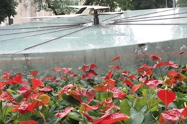 Đồng hồ khổng lồ bị "bỏ rơi" bên Hồ Gươm