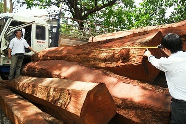 Lật xe tải, lộ ra 47 hộp gỗ không nguồn gốc
