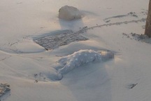 Cảnh thi thể trẻ em di cư dạt vào bờ biển Libya gây ám ảnh