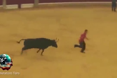 Chàng trai bị bò tót húc tụt quần