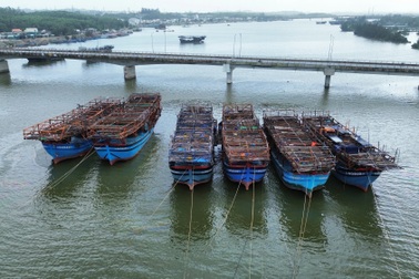 4 thuyền trưởng bị phạt gần 900 triệu đồng vì ngắt giám sát hành trình