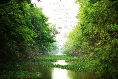 Ngắm nhìn Việt Nam hữu tình qua những khoảng trời hoang sơ mùa xuân