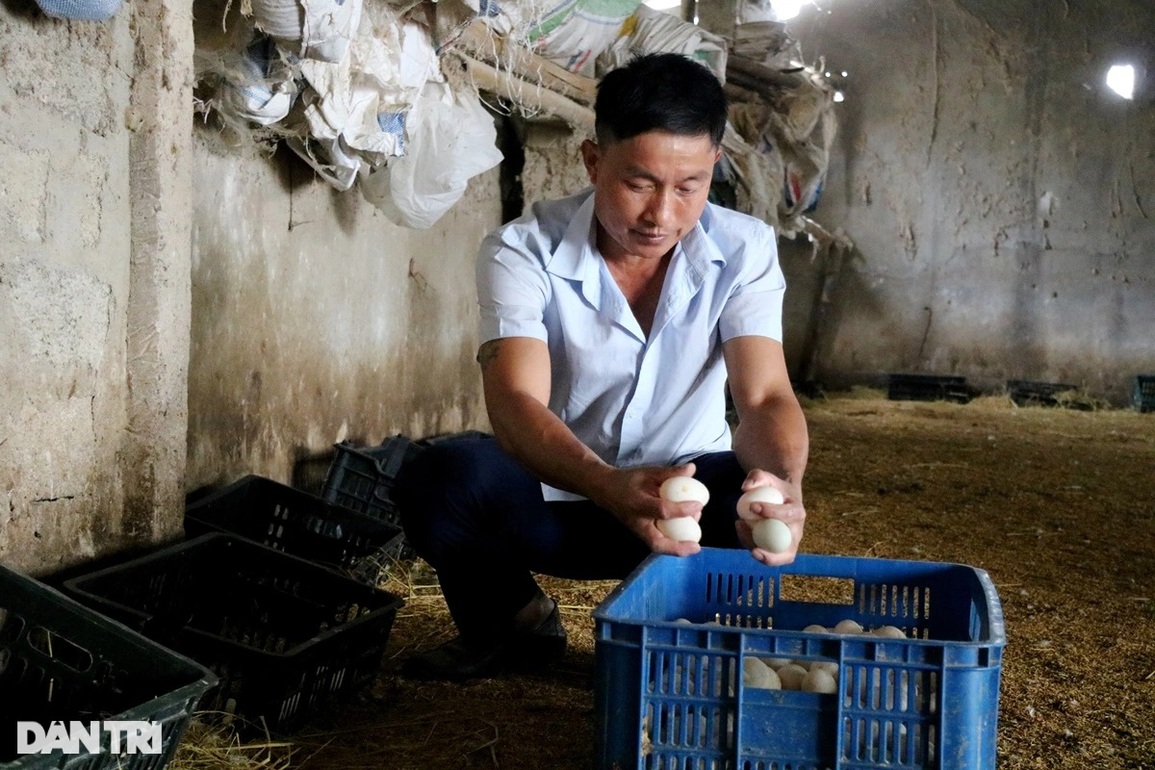 Vượt qua mặc cảm tù tội, trở thành ông chủ trang trại giàu có - 4 Vượt qua mặc cảm tù tội, trở thành ông chủ trang trại giàu có - 4