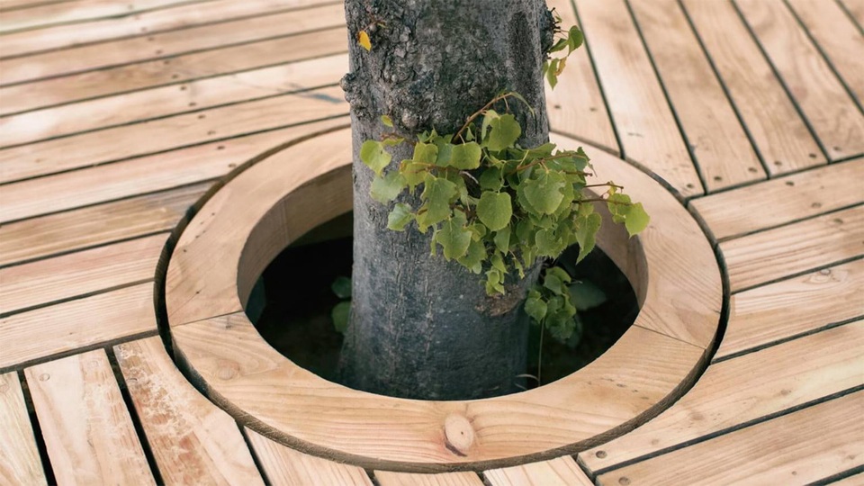 Công viên nổi ở Đan Mạch - nơi người dân chèo thuyền, bơi lội và làm nông - 6