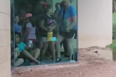 Gia đình khỉ đột trú mưa gây “bão” cộng đồng mạng!