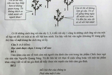 Tuyển sinh lớp 10 TPHCM năm 2019: Hướng dẫn giải đề thi Ngữ văn