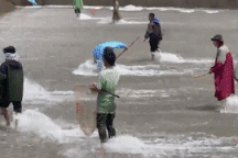 Hàng chục người liều mình lao xuống dòng nước lũ chảy xiết bắt cá