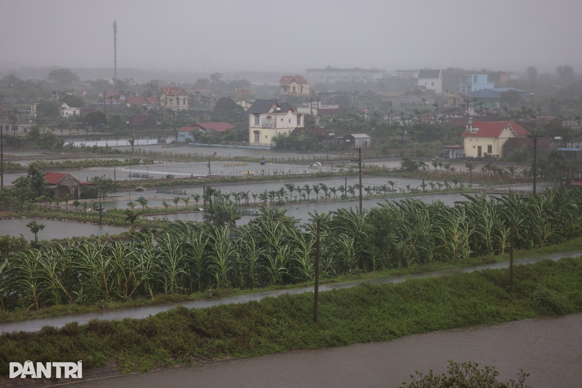 Ninh Bình chìm trong biển nước trước giờ bão Wipha đổ bộ - 9 Ninh Bình chìm trong biển nước trước giờ bão Wipha đổ bộ - 9