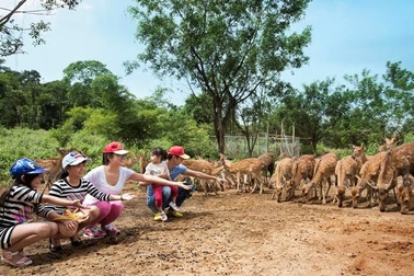 Dã ngoại bên nhau gia đình gắn bó