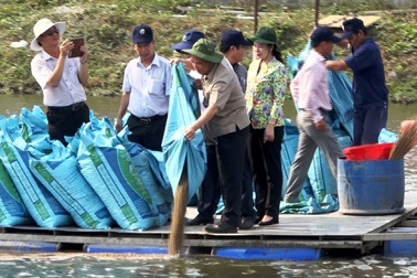 Năm 2019, ngành cá tra có thể mang về hơn 2,4 tỷ USD