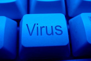 Những “độc chiêu” của virus tại Việt Nam năm 2008