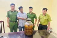 Phát hiện người đàn ông bán rượu ngâm rắn hổ mang chúa