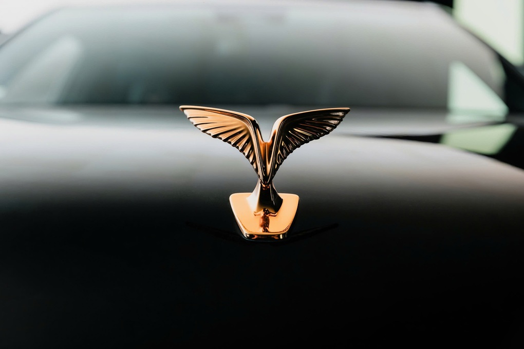 Chất Việt trên mẫu xe Lạc Hồng 900 LX của VinFast - 2