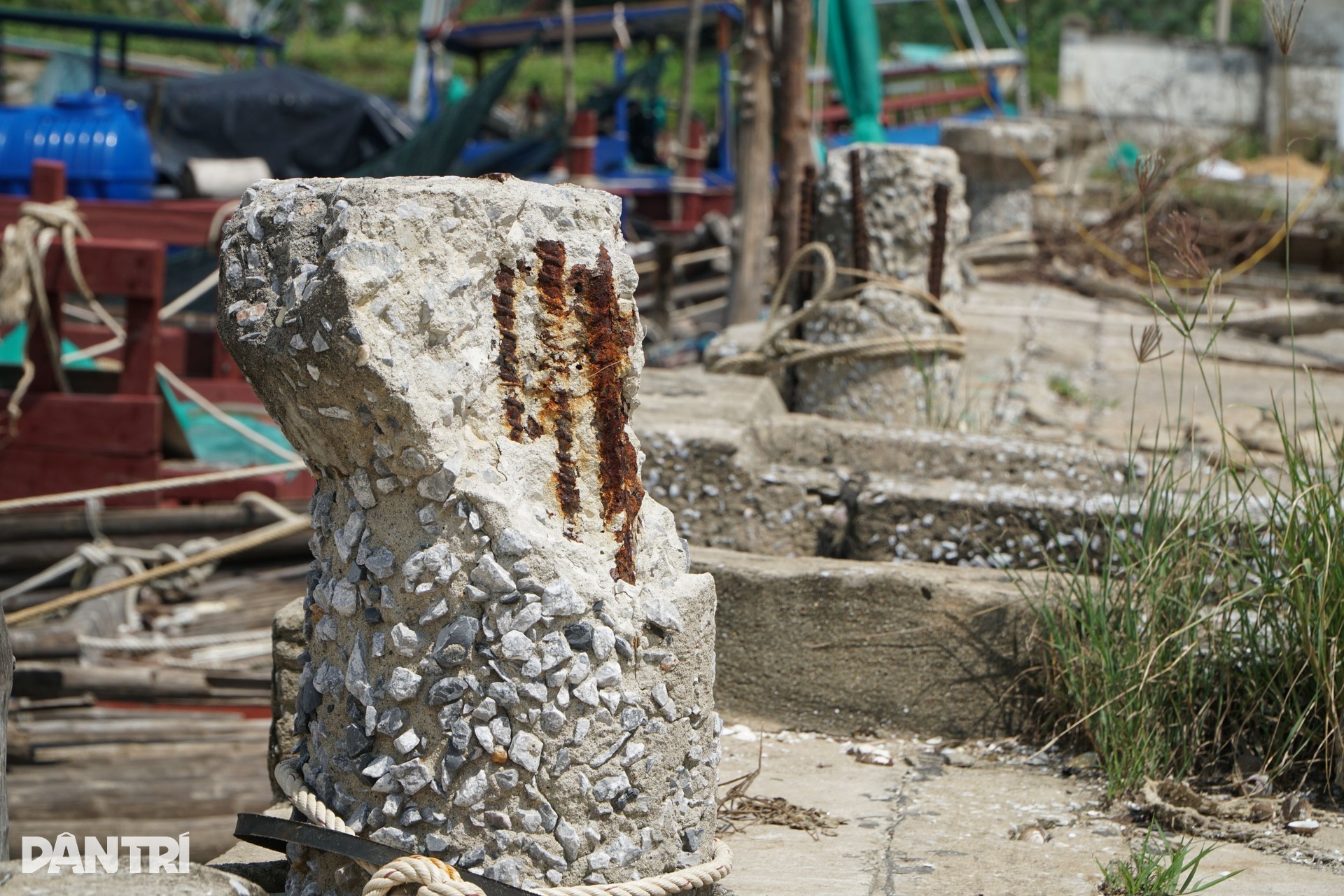 Cảng cá 43 tỷ đồng hoang hóa, dân bỏ thuyền bè - 10