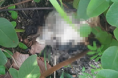 Đi hái nấm, người dân hốt hoảng phát hiện bộ xương khô trên núi