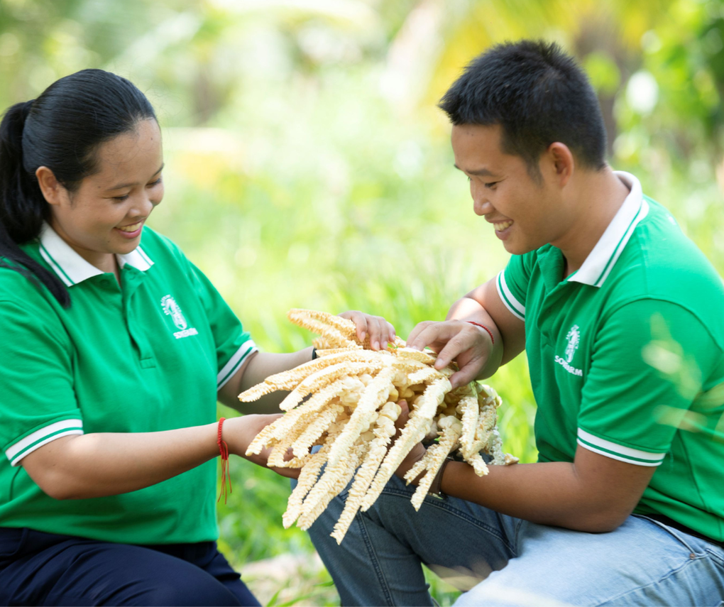 Khám phá loại mật thuần chay - đặc sản của vùng đất Trà Vinh - 3 Khám phá loại mật thuần chay - đặc sản của vùng đất Trà Vinh - 3