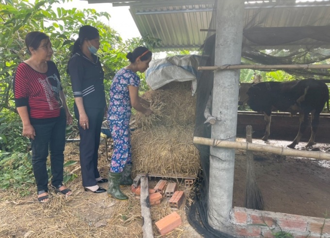 Hộ gia đình anh Nguyễn Thanh Phương đăng ký vay vốn chương trình cho vay hỗ trợ tạo việc làm, duy trì và mở rộng việc làm để chăn nuôi bò sinh sản. 