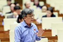 Đại biểu Quốc hội TPHCM nói về việc không được vượt qua "cơ chế đặc thù"