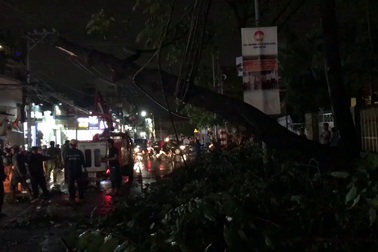 Cây ngã đè nhà dân, đường ngập nước ở phía Đông Sài Gòn  trước cơn bão số 14