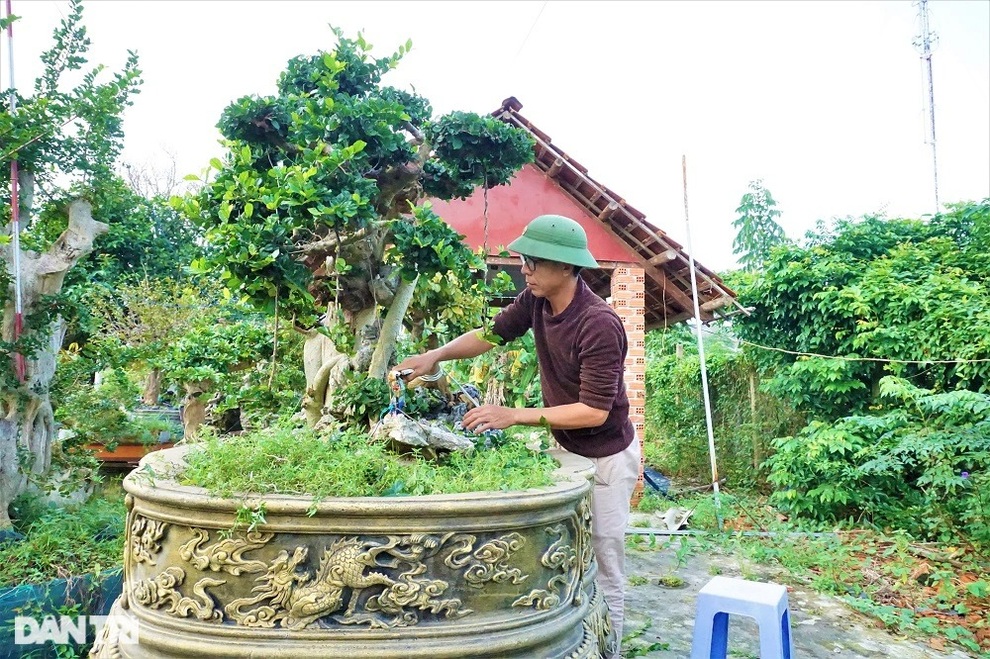 Người thổi hồn vào những gốc duối, ổi, me, bồ đề - 2 Người thổi hồn vào những gốc duối, ổi, me, bồ đề - 2