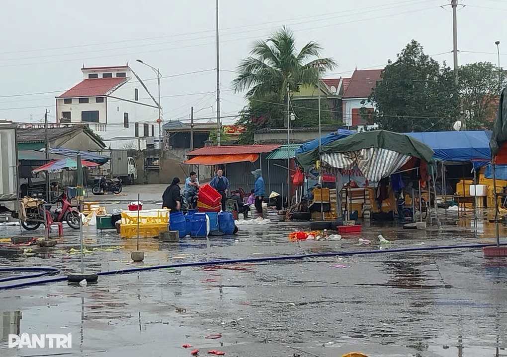 Được đầu tư hơn 100 tỷ đồng, cảng cá vẫn vắng tanh - 3 Được đầu tư hơn 100 tỷ đồng, cảng cá vẫn vắng tanh - 3