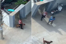 Xua chó ra cắn người để giải quyết mâu thuẫn, chủ chó sẽ chịu án phạt nào?