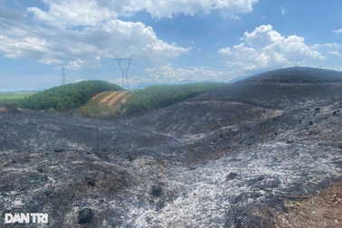 Hơn 120 người nỗ lực dập tắt đám cháy rừng cạnh đường điện 500kV Bắc - Nam