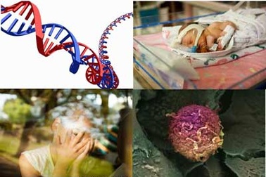 Top 10 đột phá y học thế giới năm 2012