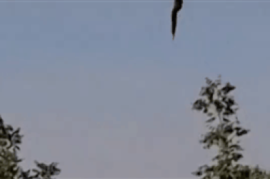 Kinh hoàng khoảnh khắc khinh khí cầu rơi ở Mỹ, 5 người chết