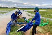Thủ lĩnh Đoàn gương mẫu học tập và làm theo lời Bác