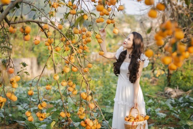 Mê mẩn vườn hồng Mộc Châu, du khách khắp nơi đổ xô về săn ảnh đẹp