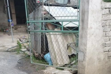 Con trai dùng dao đâm mẹ già 94 tuổi tử vong