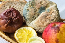 Ung thư dạ dày nguy hiểm nhưng ngăn ngừa được nếu nắm rõ 4 lý do